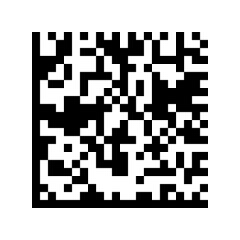 ENCRYPTED 2D MATRIX BARCODE (DATA MATRIX)